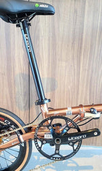 Load image into Gallery viewer, 16 Inch FnHon Gust Rose Gold Color with Shimano Sora 9 Speed, Litepro Hydraulic Disc Brake, litepro plus 349 wheelset, Height adjustable stem ( Pre-Order 3 weeks )

