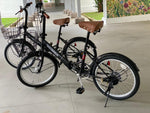 Load image into Gallery viewer, Mypallas M204 20 INCH FOLD 6 SPEED BICYCLE  （Free Installation With Purchase) Pre Order 3 weeks
