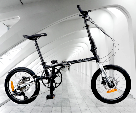 16 INCH LITEPRO FOLDING BICYCLE 9 SPEED DISC BRAKE WEIGHS ONLY 11.5